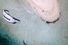 Air