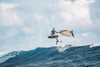 Wingfoilboard Roamer S