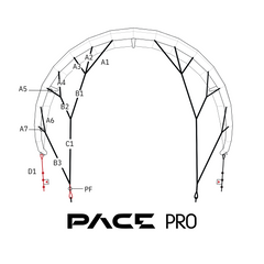 Pace Pro Bridle