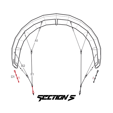 Section 5 Bridle