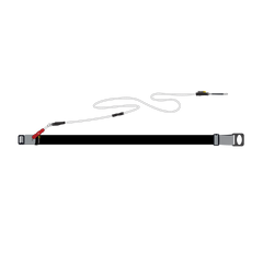 Wingfoil Waistbelt Leash 2.0
