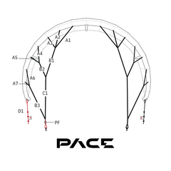 Pace Bridle