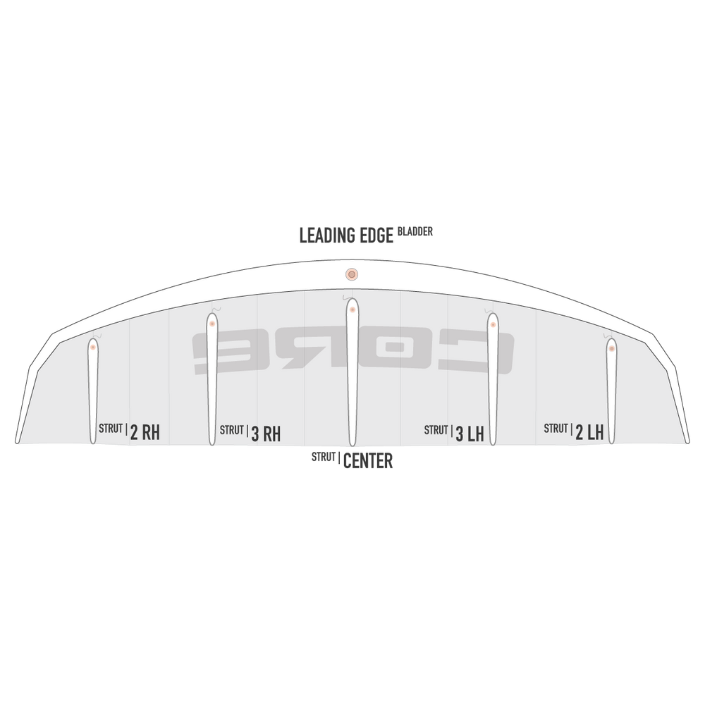XR6 Bladder