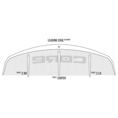 GTS6 Bladder