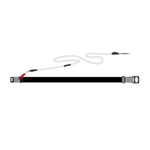 Wingfoil Waistbelt Leash