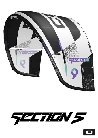Section 5